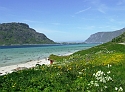 Lofoten Beauty